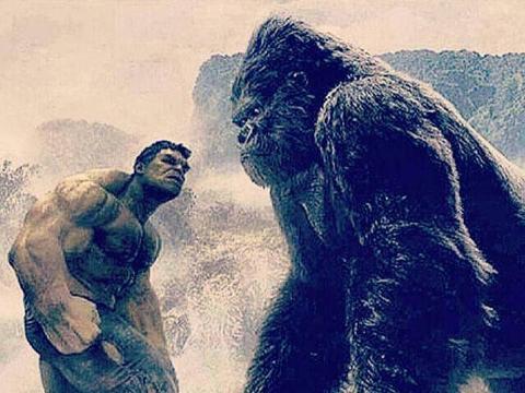 可否与金刚一战？