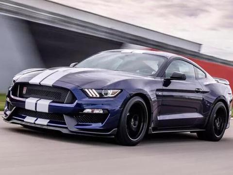 近期肌肉车动态汇总都在这个专题里