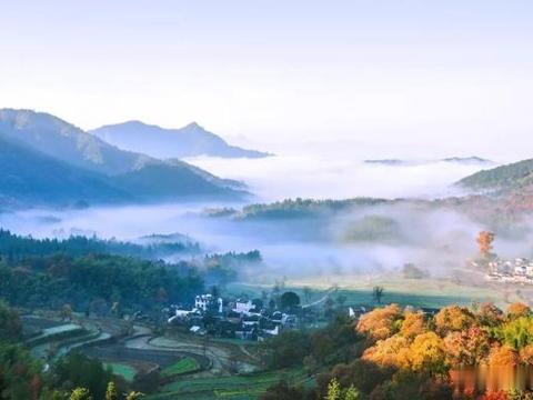 孕妇房间装修买板材,一般选哪款?