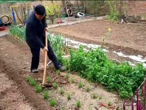 农村小伙研发便捷式翻土机,一天能翻12亩地,200元做一台|翻土机|便捷式|天能_新浪新闻