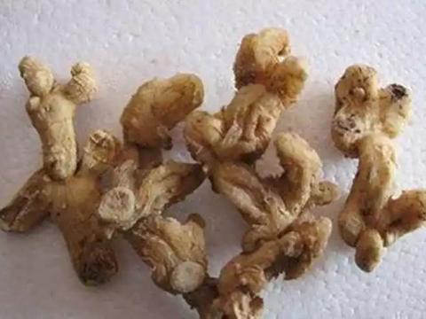 黄精的三大功效及养生食用方法_新浪新闻