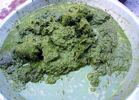 这个美食,让印度阿三看了都直摇头,这是贵州的一种美食,叫做牛粪火锅