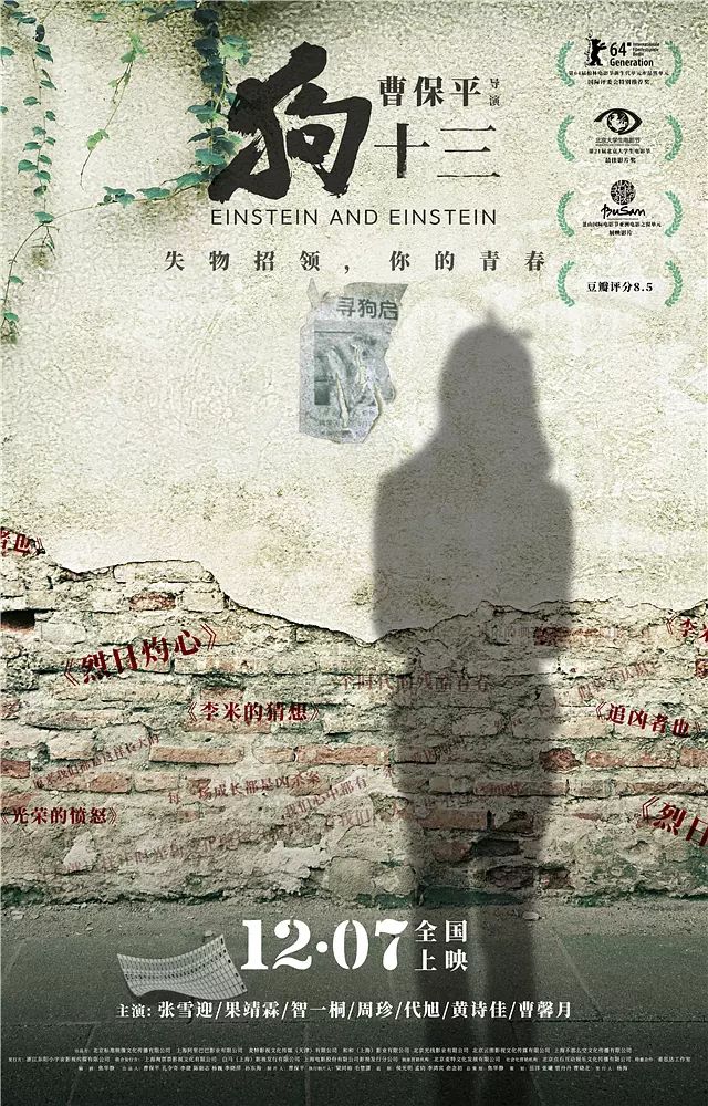 十二月,拿好这份片单再冬眠|孔笙|第二季|期待值_新浪新闻