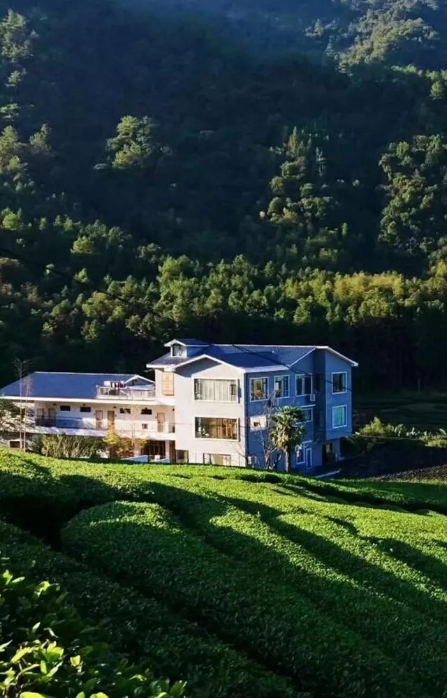 辞职归隐深山,他在茶山云海里造了栋最美玻璃民宿