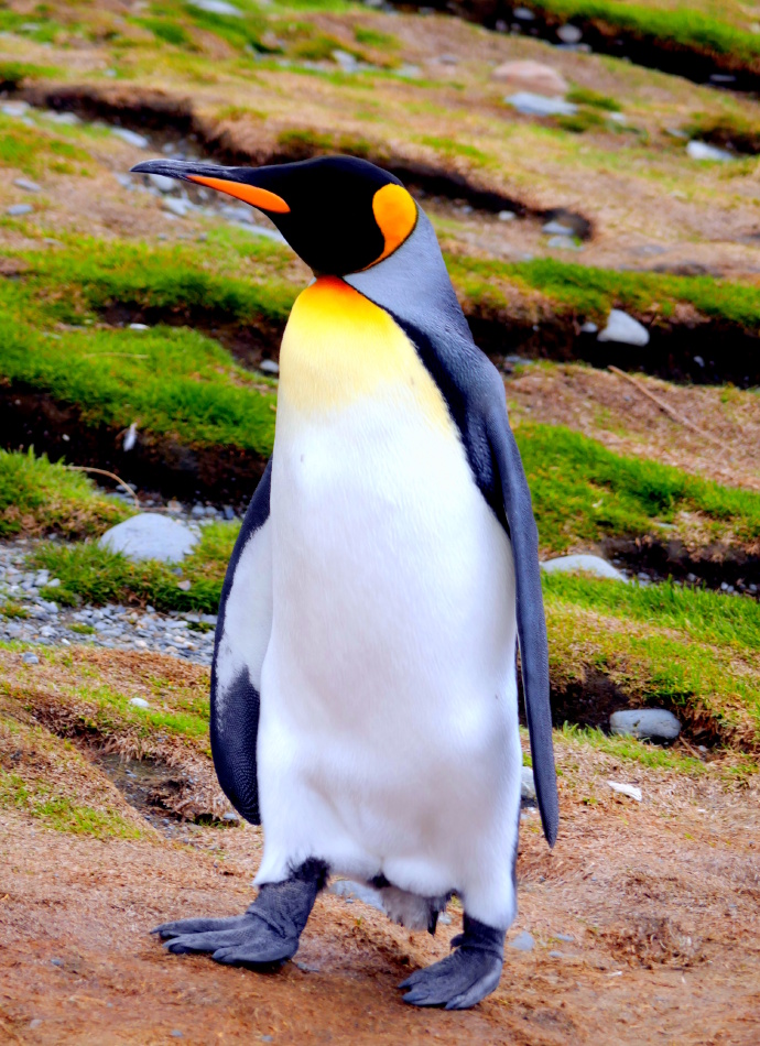 索尔兹伯里_索尔兹伯里最新消息,新闻,图片,视频_聚合阅读_新浪网