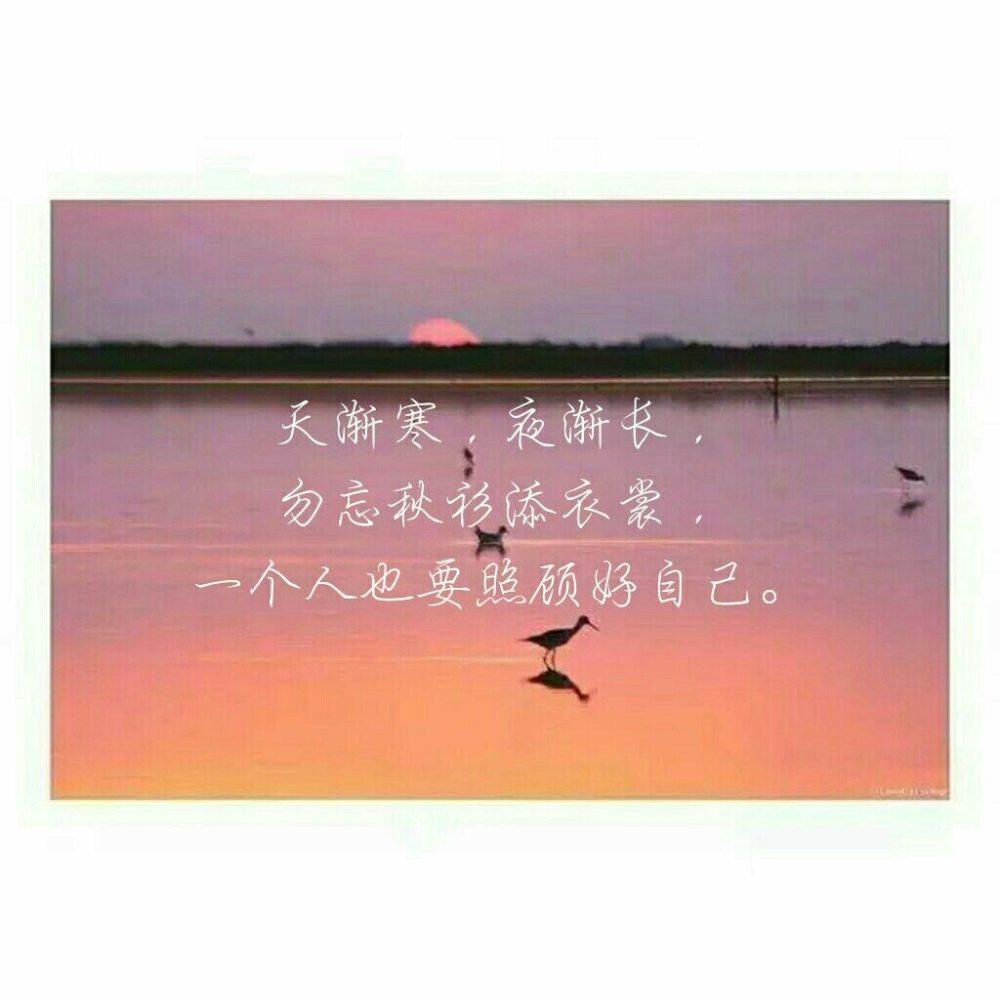 短句精致唯美的句子