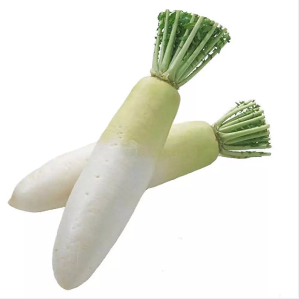 春天吃啥食物不用容易上火