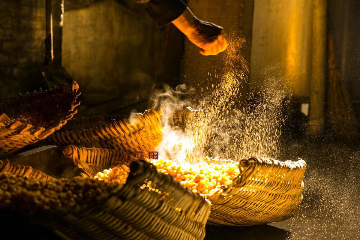 家庭自酿白酒设备酿酒注意事项讲解—酿酒师胡星杰