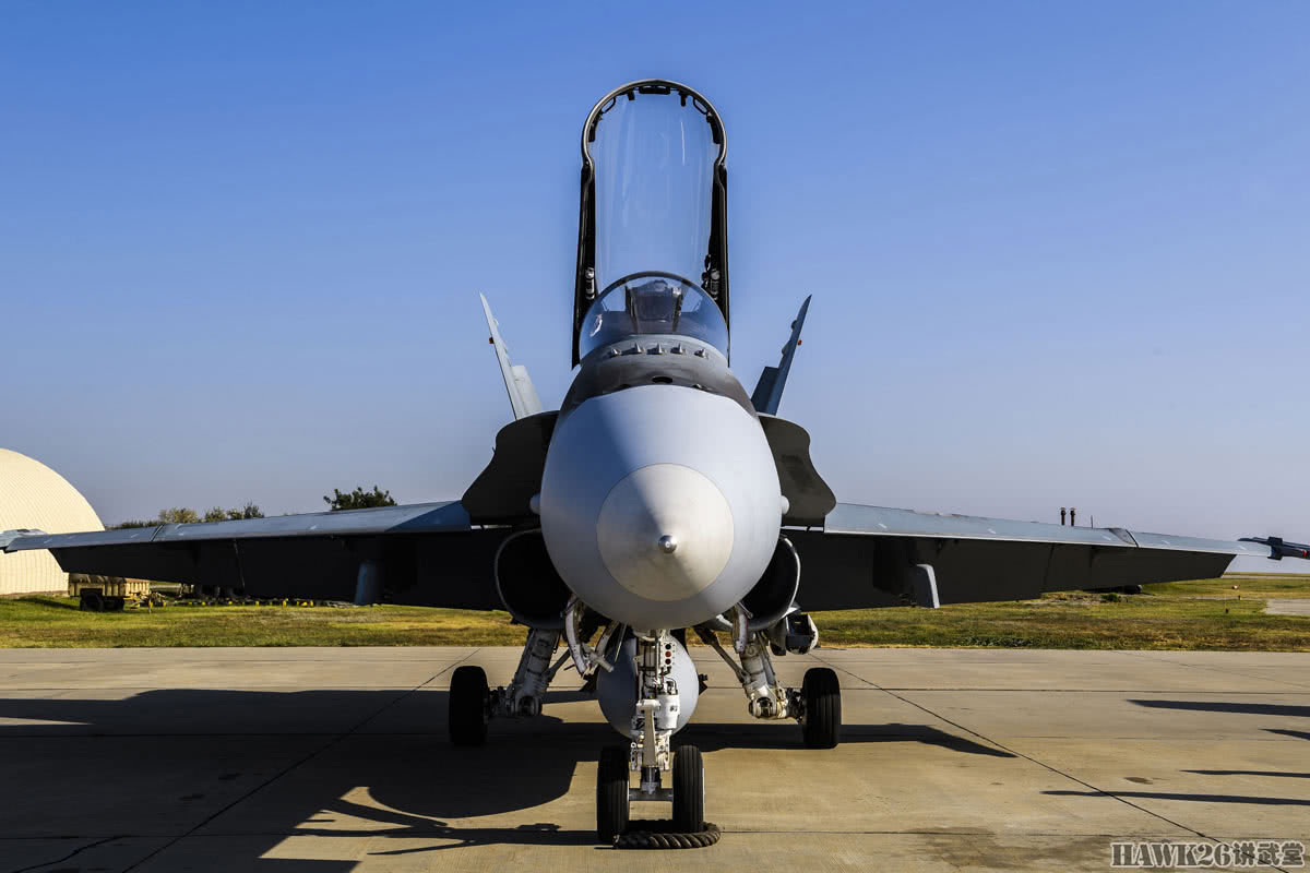 f/a-18"大黄蜂"本是美国海军舰载战斗机,加拿大空军看上其多用途特点