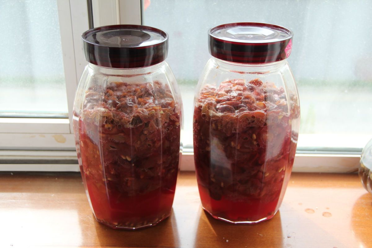 酿酒技术:自酿葡萄酒是酸的怎么办?