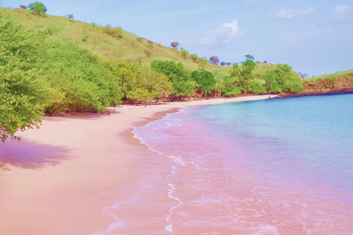 印尼粉红沙滩:东南亚最梦幻的一个沙滩,女生必去