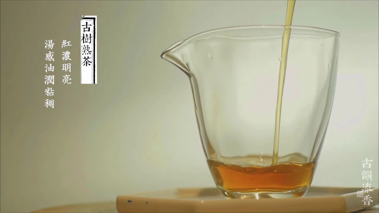 普洱茶冲泡规范之冲泡、出汤