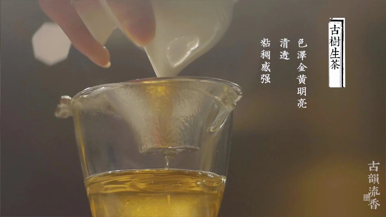 普洱茶冲泡规范之冲泡、出汤