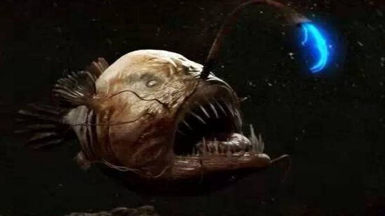 第一次来到一个十分神秘又很神奇的地方这个地方的名字叫做斐查兹海渊