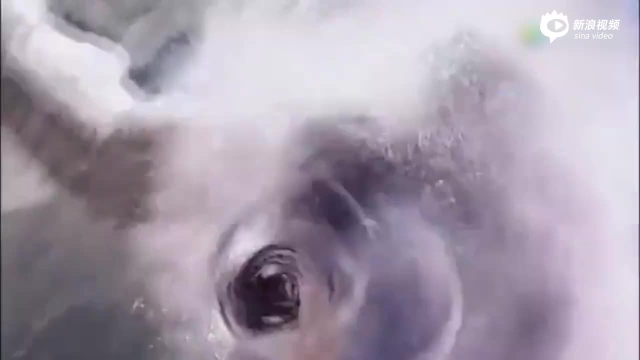 金庸武侠剧中女性角色群像