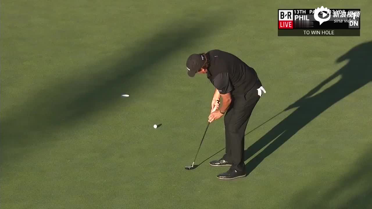 13号洞老米小鸟推