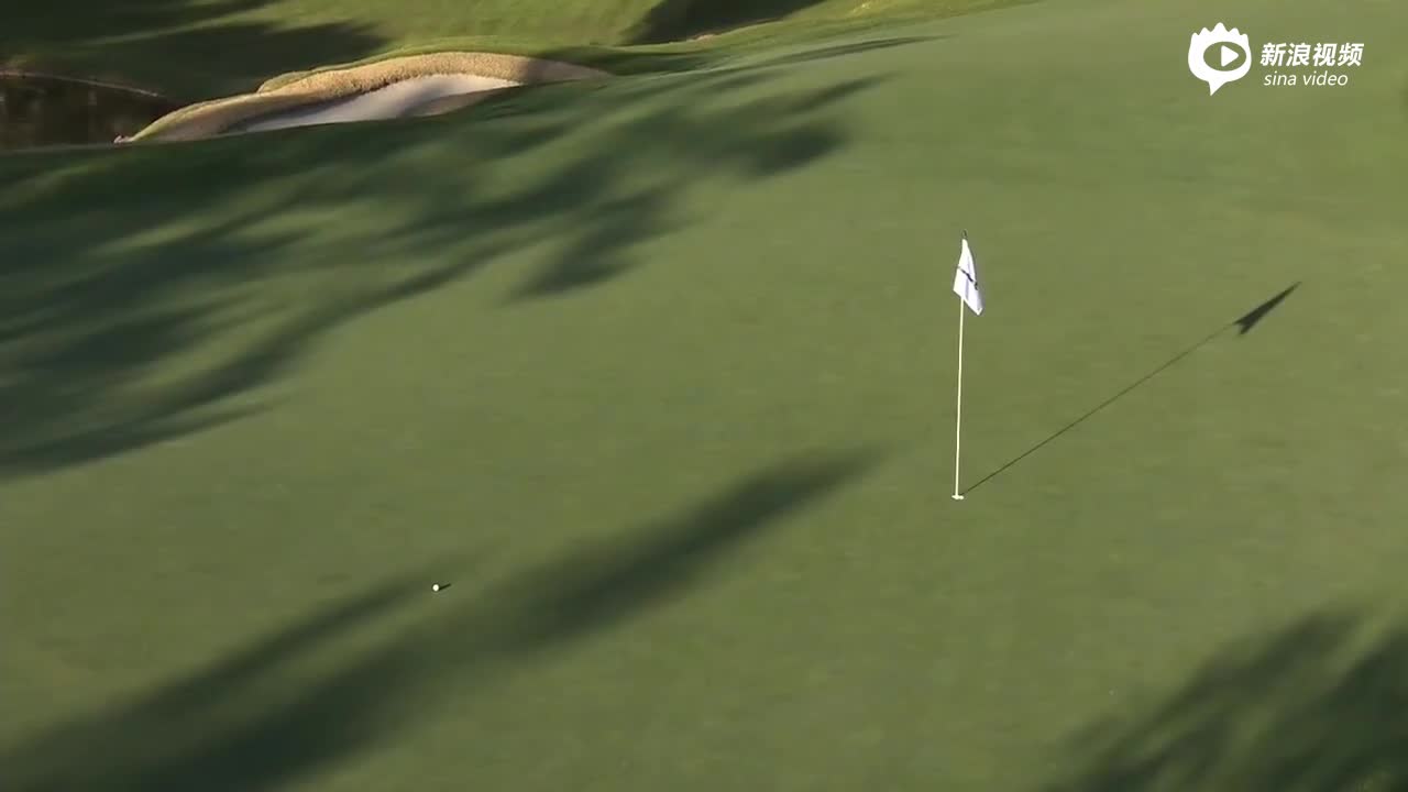 13号洞老虎老米铁杆