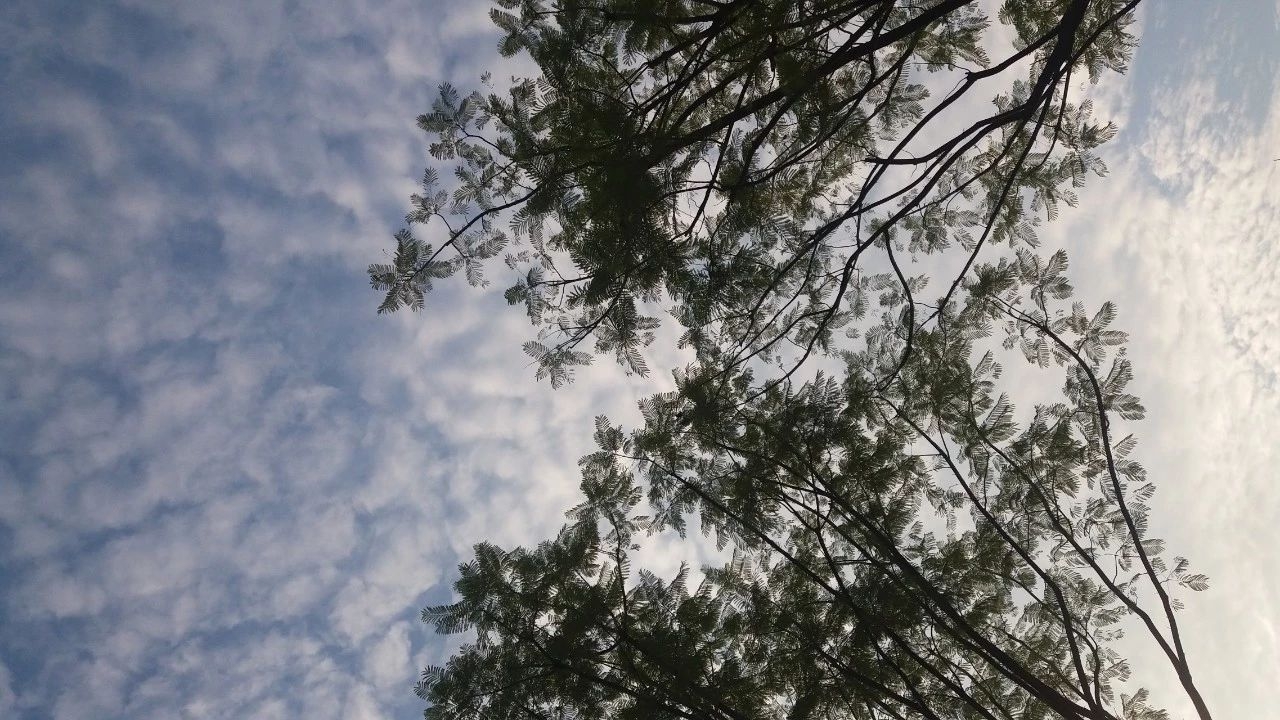 佛系婚姻背后藏着什么丧