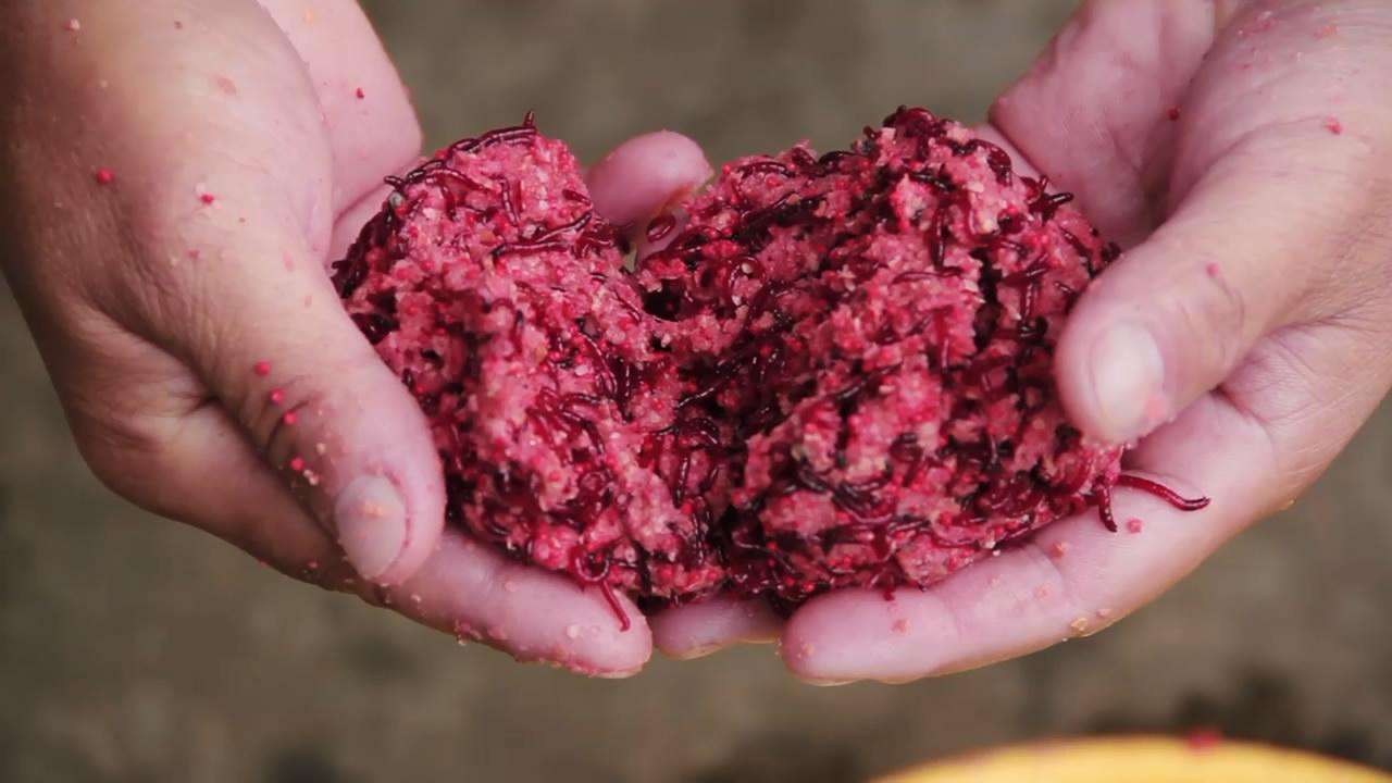专为冬钓而生的神奇饵料,红虫肉夹馍的进击之路是这样来的