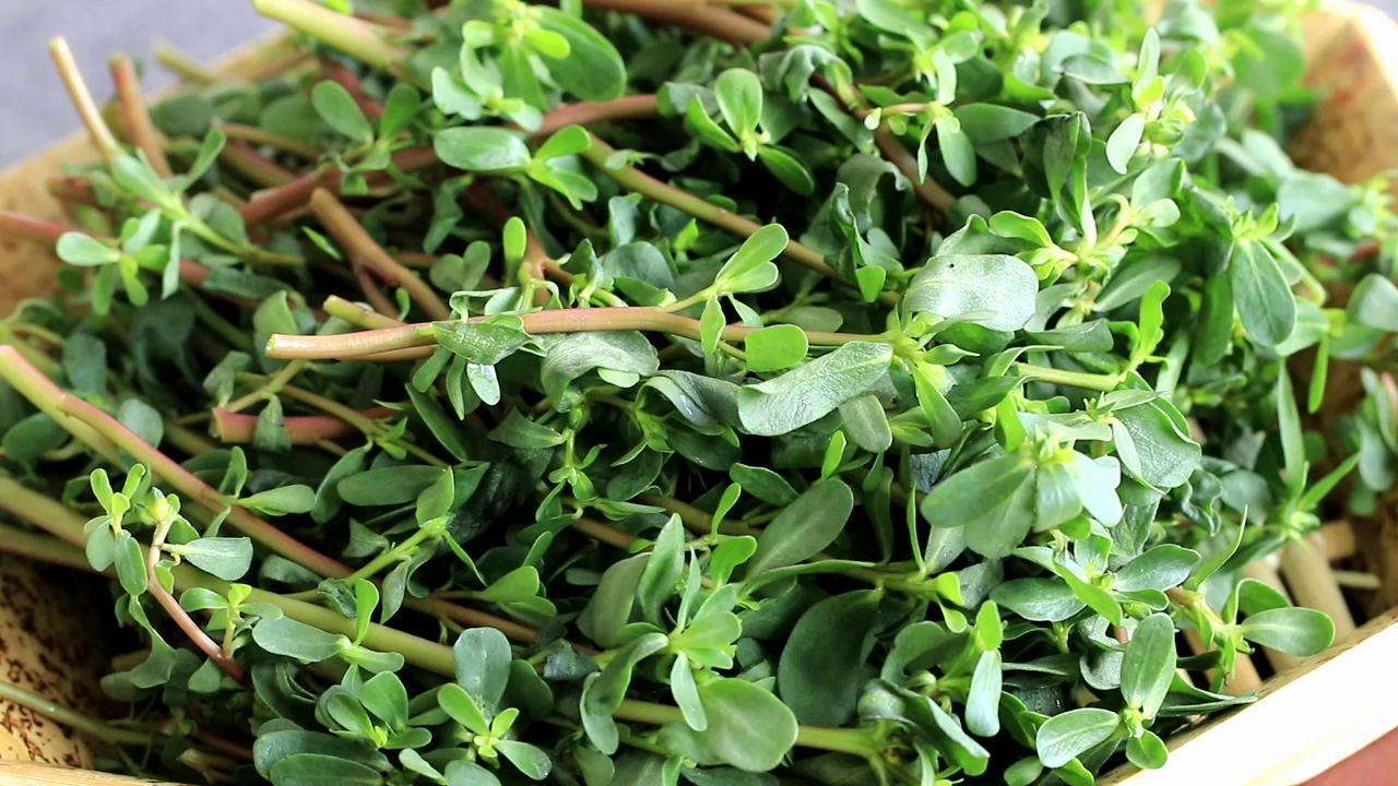 农村这种野草,环境再多恶劣也能生长,还能养发护发!