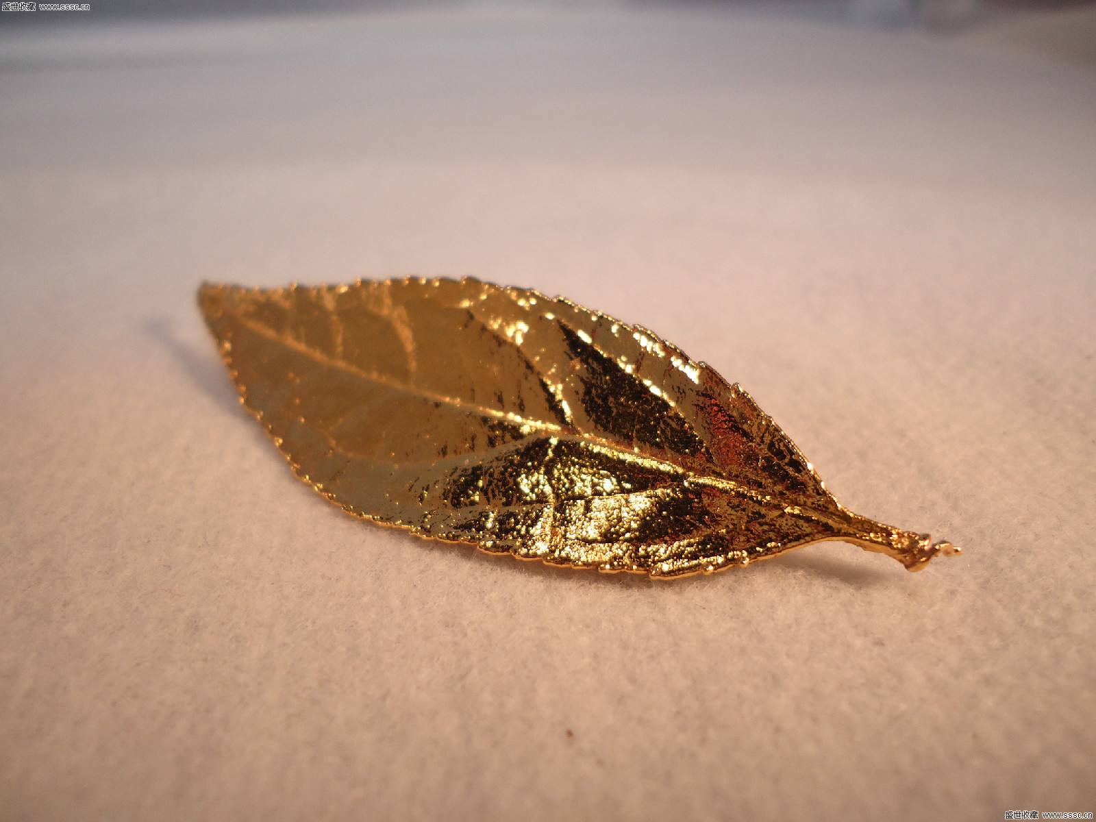 占卜测试:选一款金叶子,测9月你的贵人是谁?