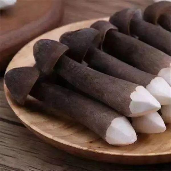 农药污染温度,湿度达到绝美平衡每6小时人工采摘一次菌帽紧实未张开