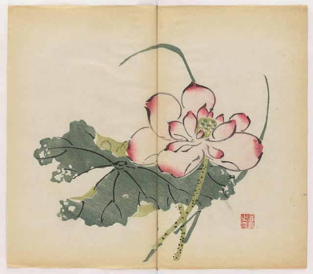 明代梅,竹,花鸟原版图册