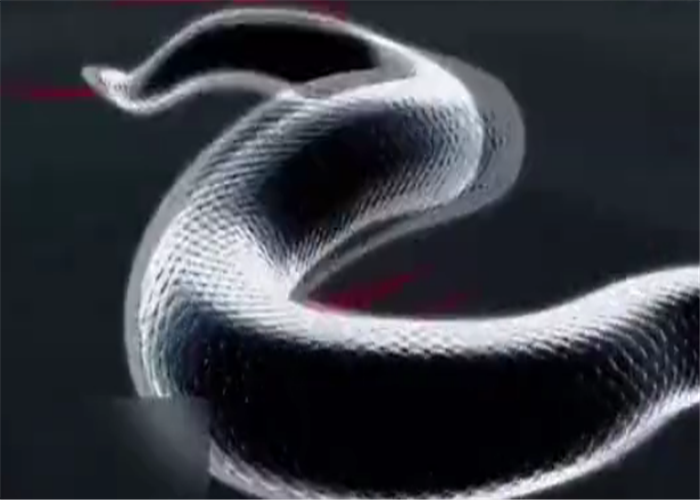 哈佛大学发明爬行机器人像蛇一样趴行具体是干什么的