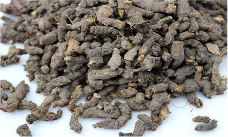 山村里有一种植物叫天葵子,能清热解毒,消肿