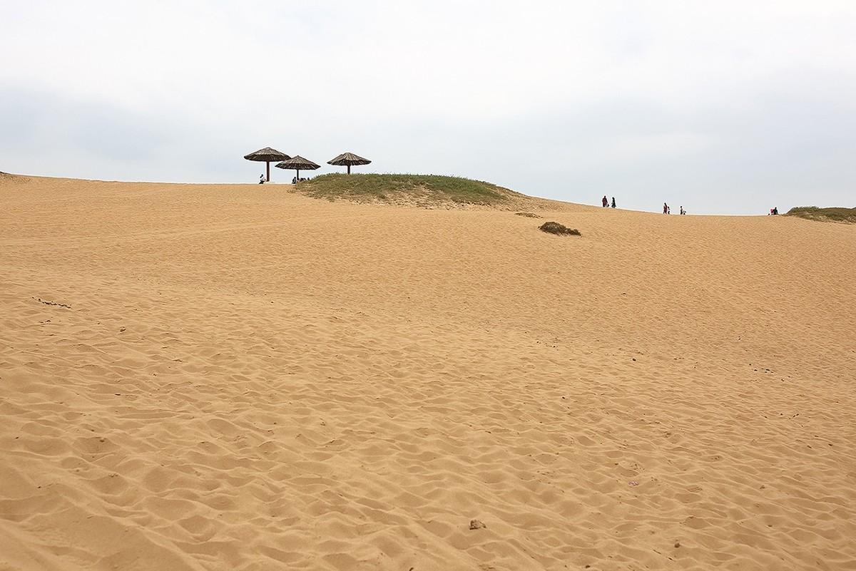 我国中部一个少有人知沙漠面积有13万亩却在不断扩大