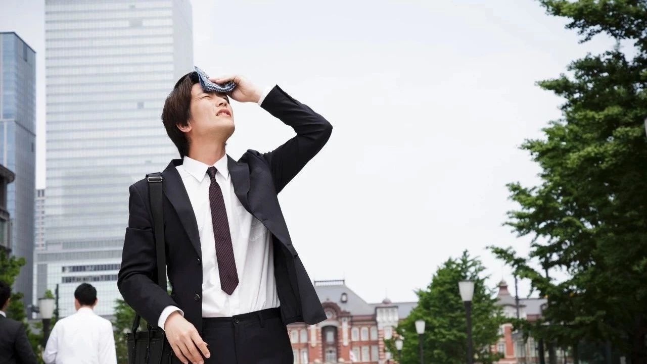 日本大学生都找哪些公司就职 手机新浪网