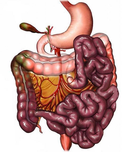 一旦这个地方长"黑痣",说明肠内有很多"息肉",肠癌不远了!
