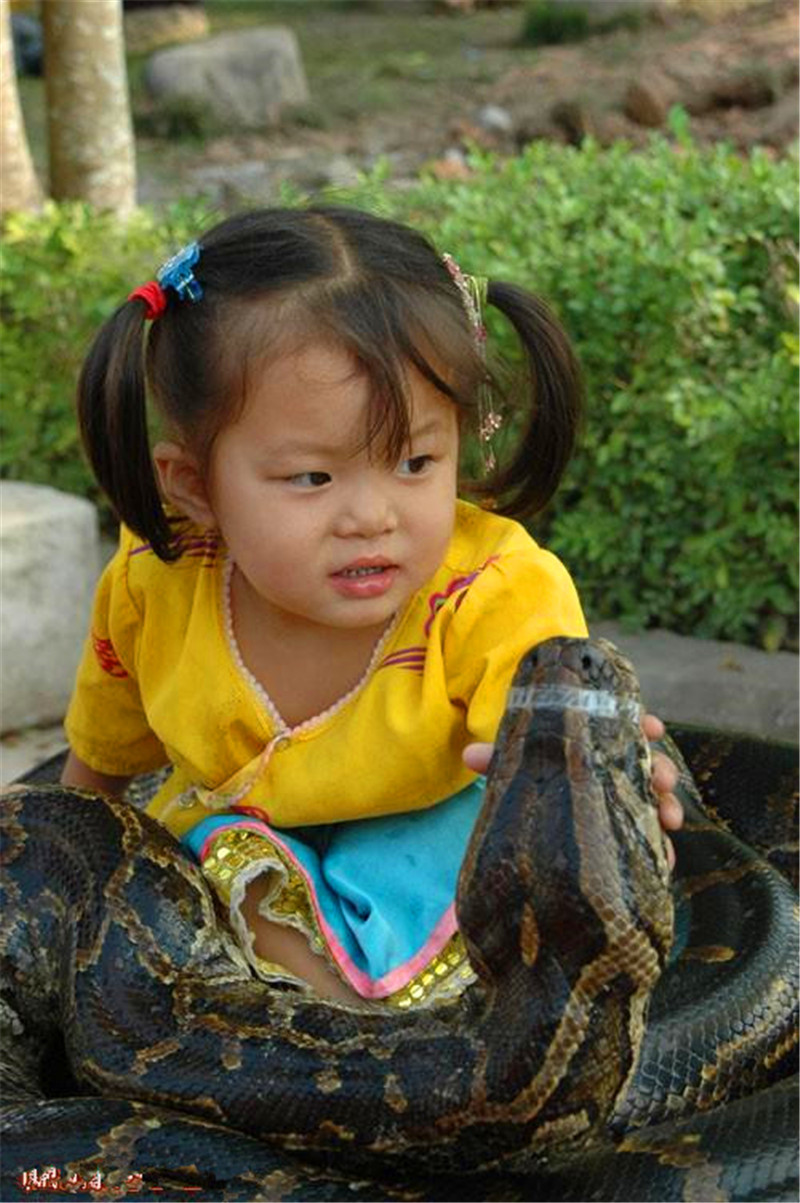 妇女为发朋友圈让三岁女童与吃人蟒蛇玩耍拍照,围观群众愤怒不已
