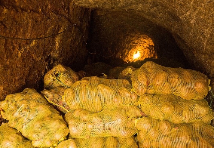 大叔地窖放红薯,发现前方有束光,走进后顿时直了眼