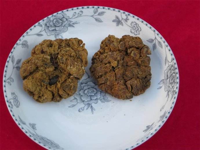 它是健康人粪中的凝固物,民间称为金汁.