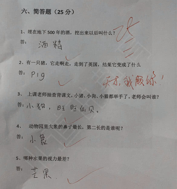 小学生奇葩试卷火了巧妙回答很精彩老师给了25分