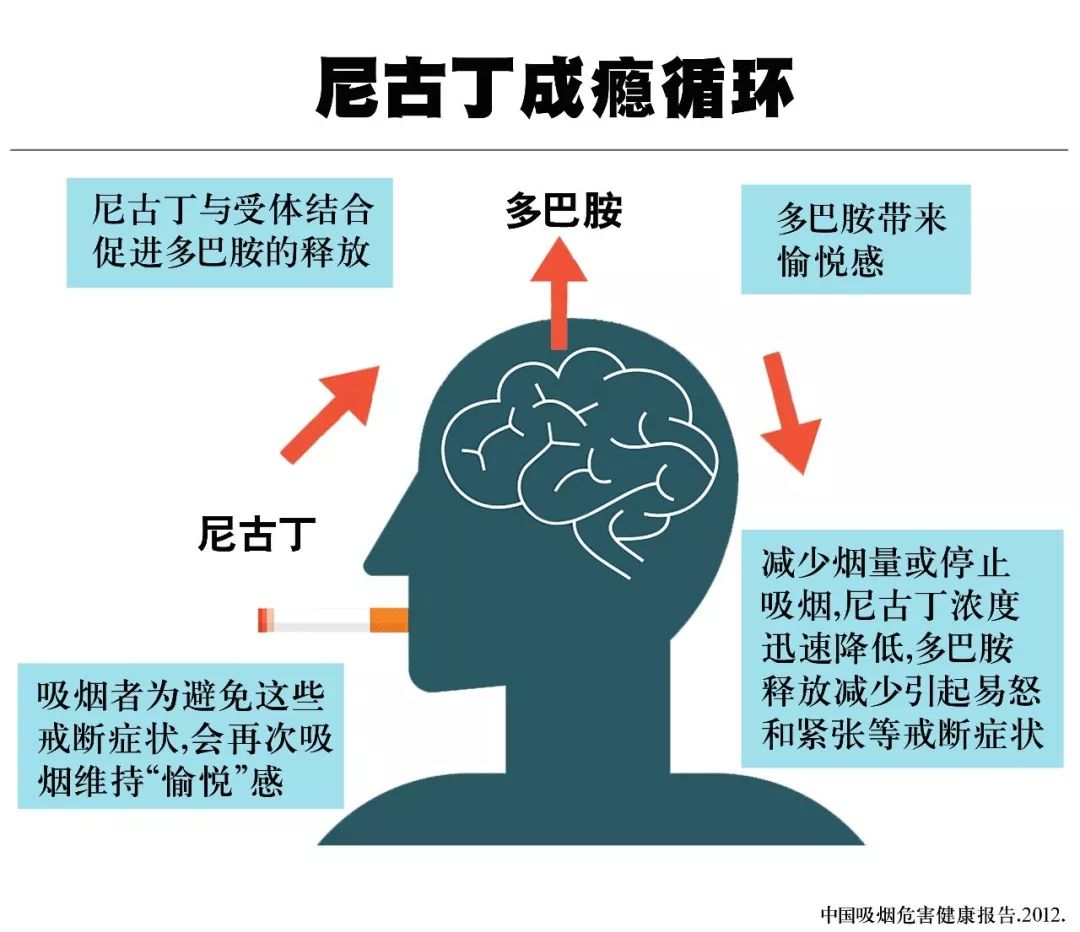 吸烟成瘾是一种慢性疾病,导致烟草依赖的主要物质是尼古丁,其药理学及