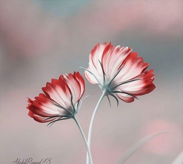 描写春天的句子,沁人心脾,美得令人心醉!