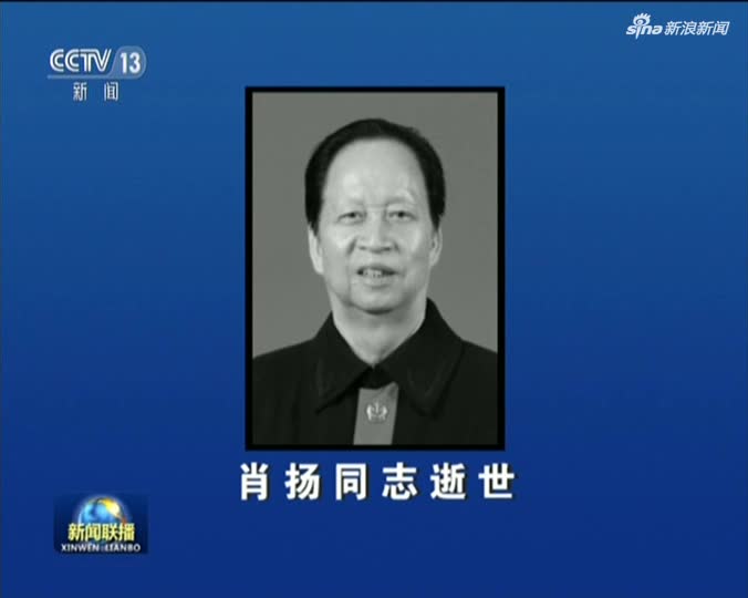 最高人民法院院长肖扬