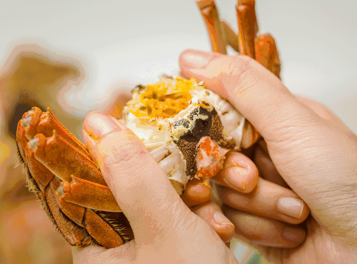 教你优雅地吃螃蟹来一次完美蟹逅