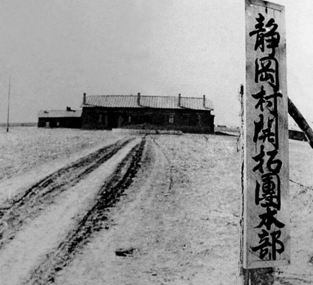 九一八事变后日本计划向东北移民百万,这些人后来命运很惨