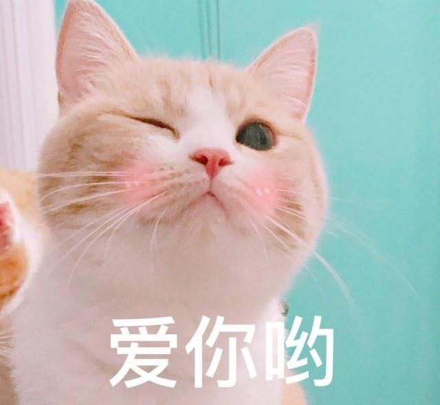 啾咪~