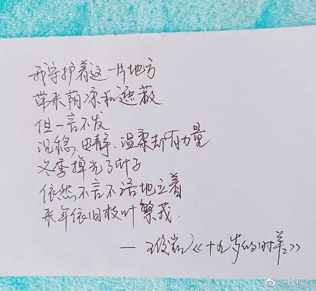 王俊凯秀书法送上心灵鸡汤, 字如其人隽秀灵动, 这字体很漂亮