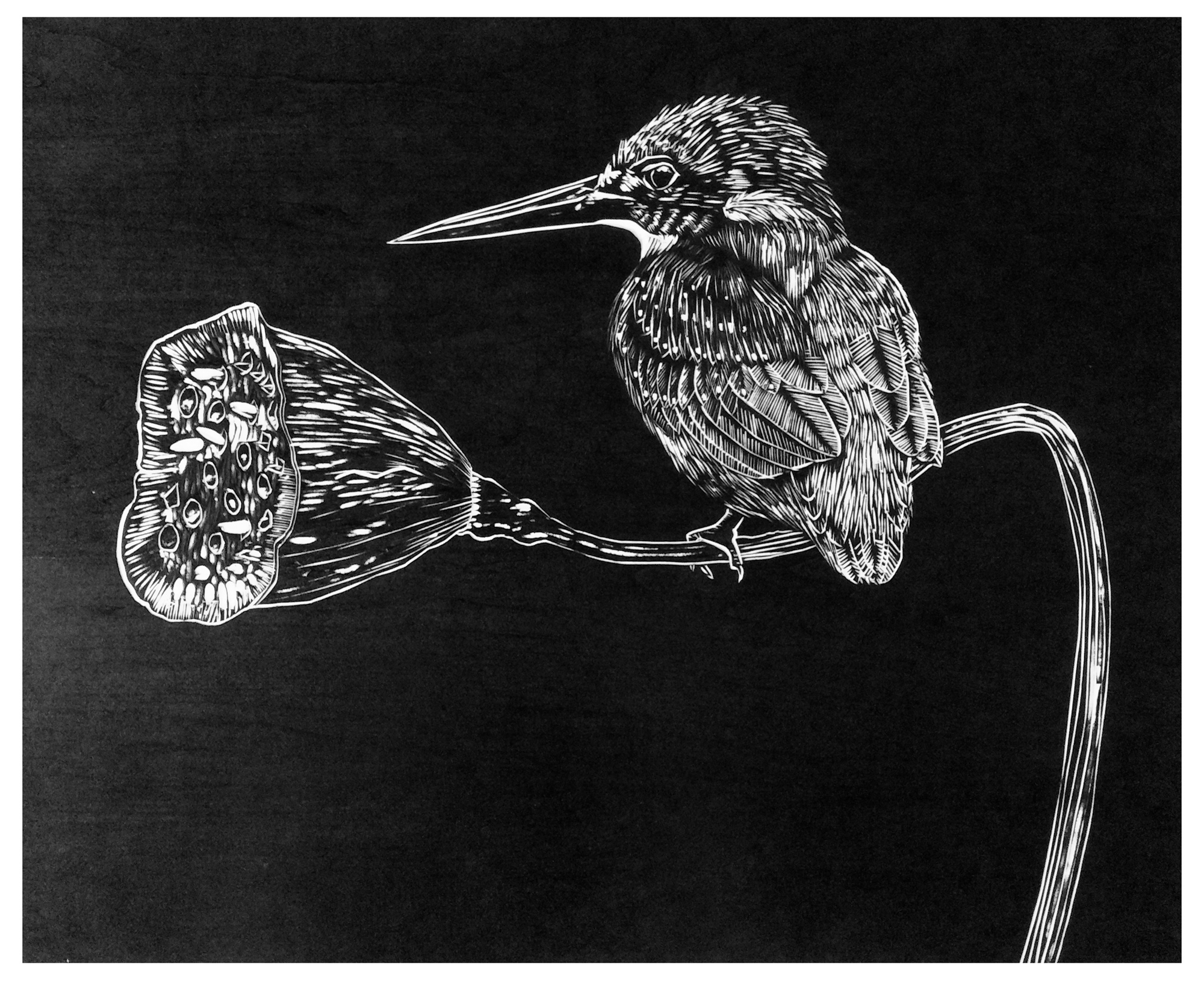 优秀女书画家杨康平版画艺术赏析|版画|书画家|作品展_新浪新闻