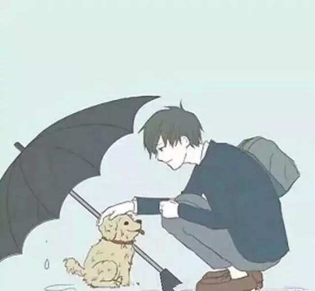 日本网友见到雨中的柴犬，主动上前撑伞挡雨，路人做成感人漫画|小哥哥|狗狗|撑伞_新浪新闻