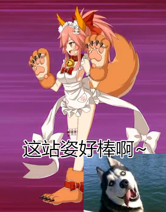 fgo4星狂阶玉藻喵喜获重做,用过宝具之后独享休息姿势成最大赢家