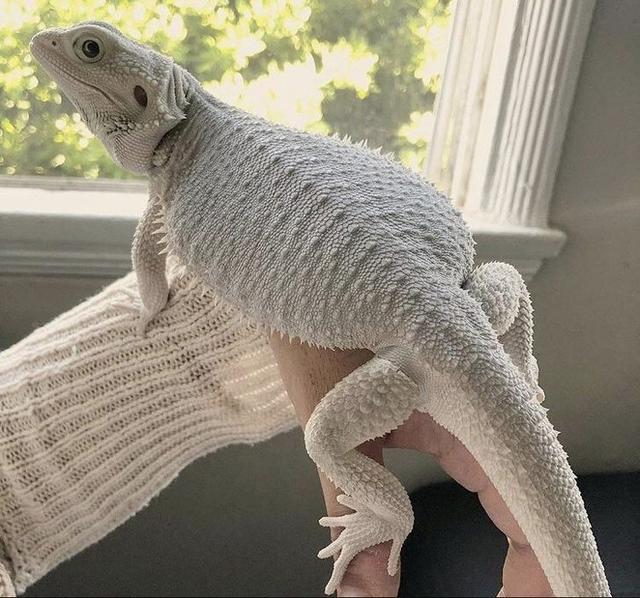 26张证明"大自然绝对有魔法能力"的超惊奇照片!