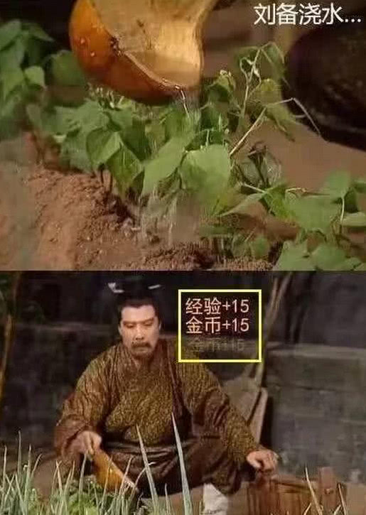 笑到瘫痪的搞笑弹幕,这届网友一个比一个优秀,编剧看了想打人