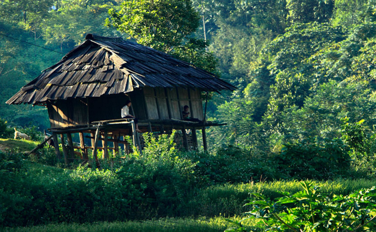 越南的农村是什么样的和中国有什么不同看一看就明白了