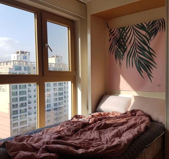 想要一间不大的房子,不大的床,然后当个快乐的肥宅